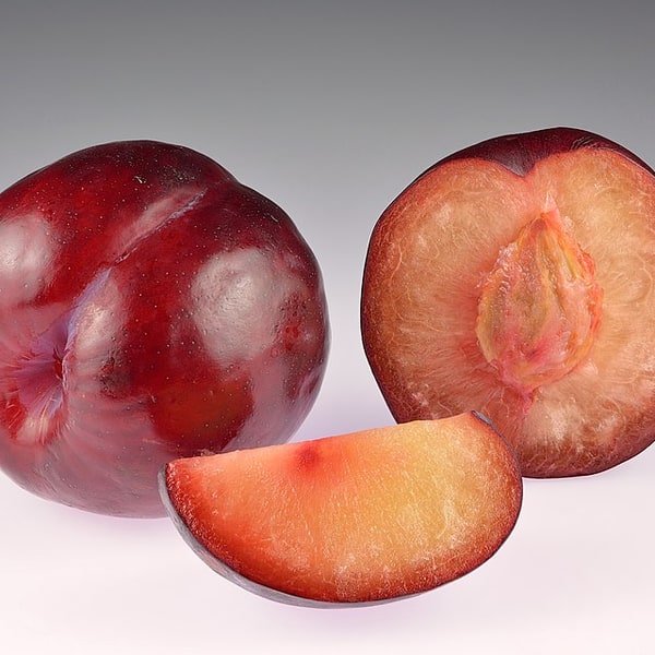 Plum Black