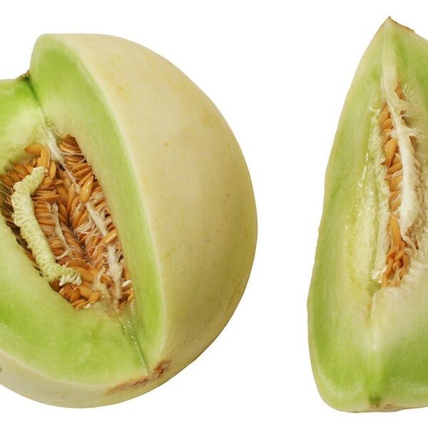 Honeydew Melon
