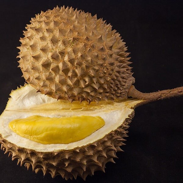 Durian Monthong